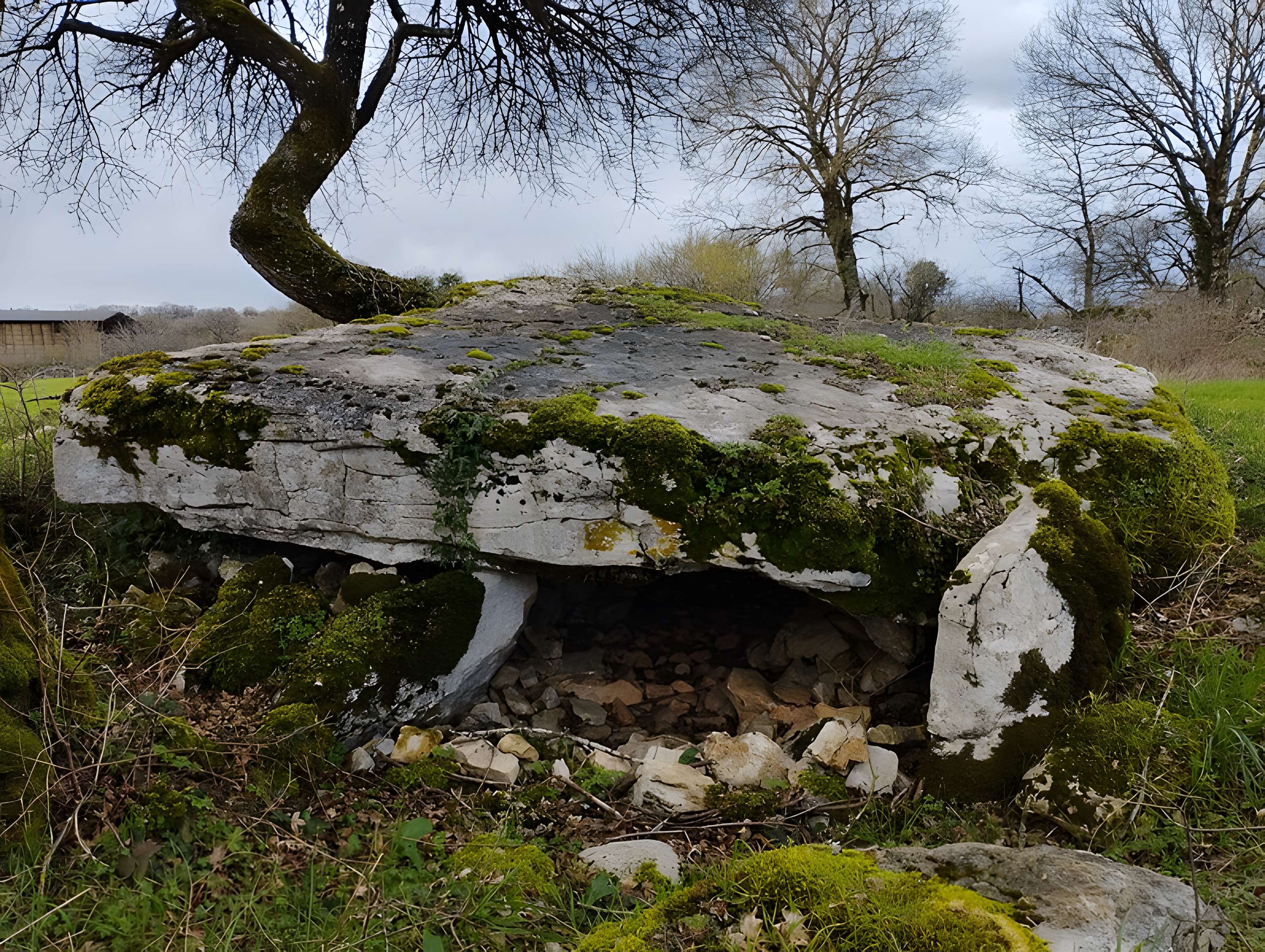 Pierre Levée d'Issendolus