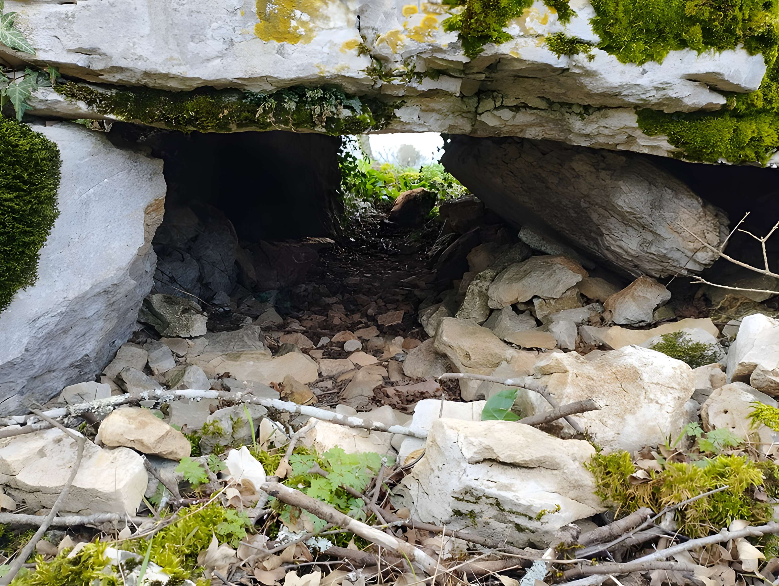 Pierre Levée d'Issendolus