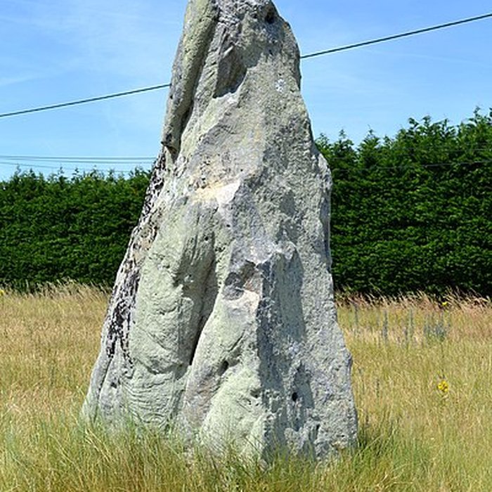 Photo de Menhir dénommé Pierre Longue