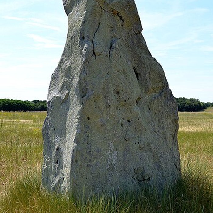 Photo de Menhir dénommé Pierre Longue