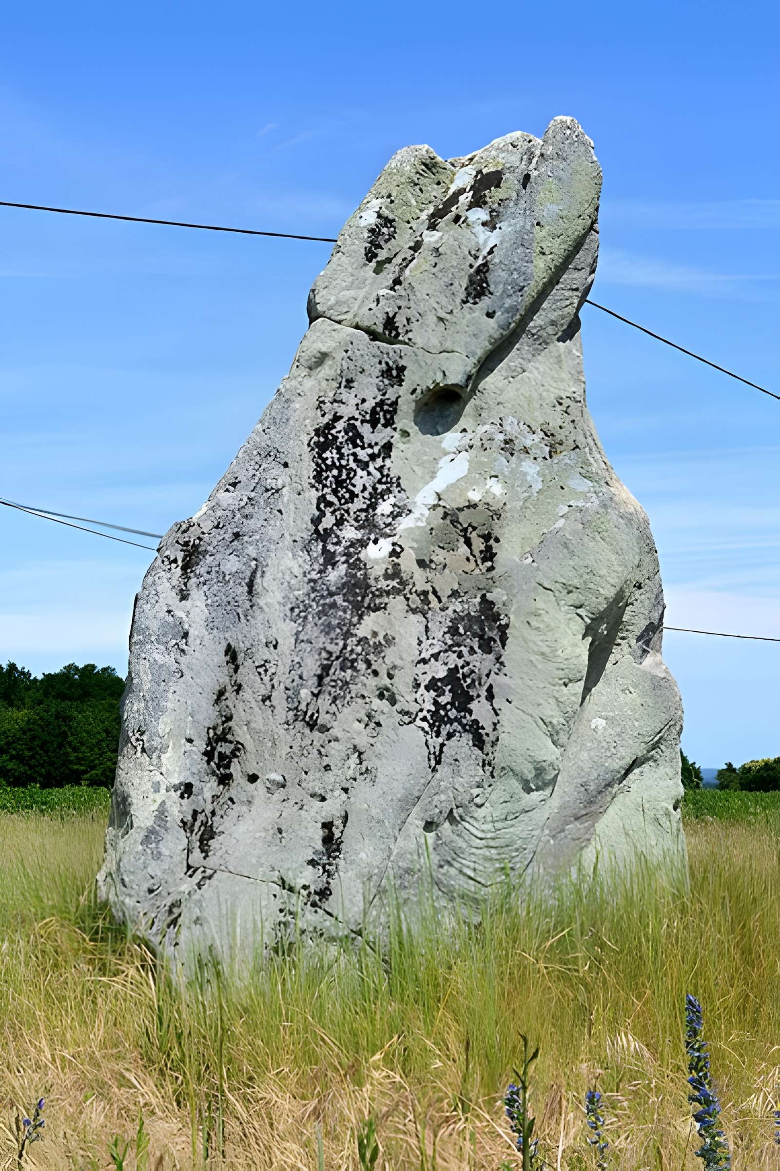 Menhir dénommé Pierre Longue
