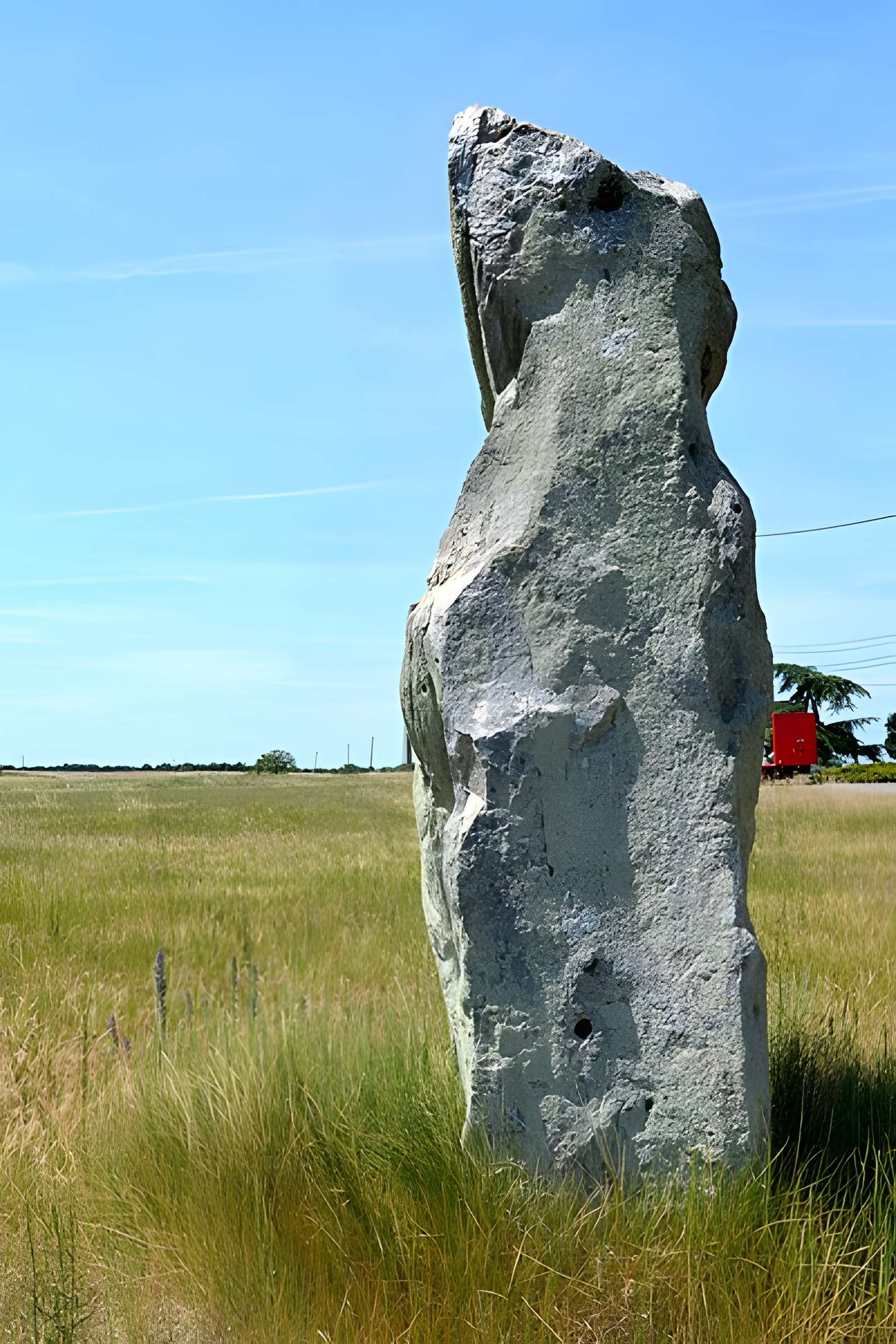 Menhir dénommé Pierre Longue