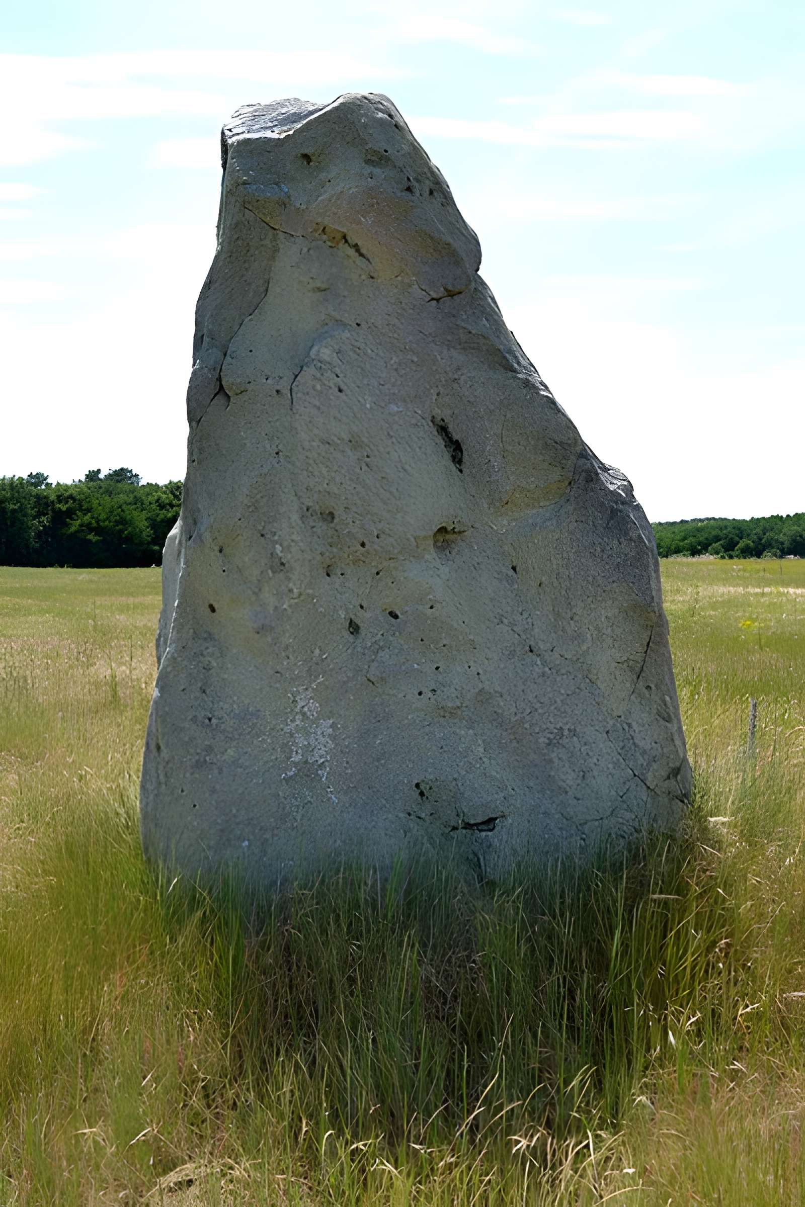 Menhir dénommé Pierre Longue