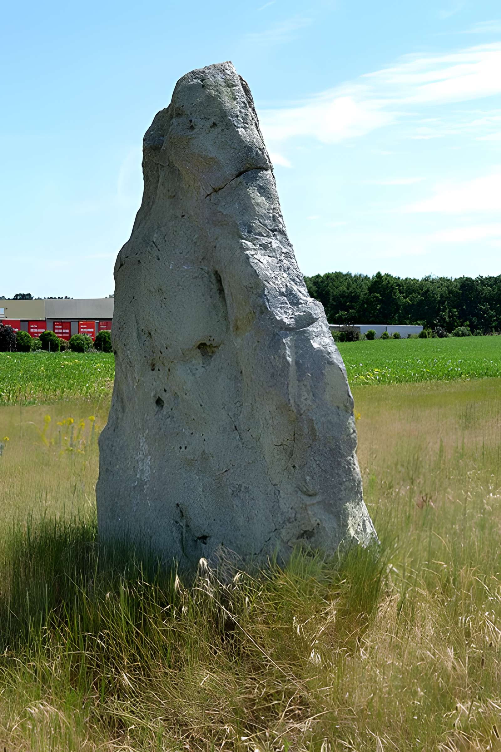 Menhir dénommé Pierre Longue