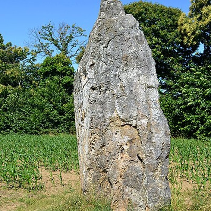 Photo de Pierre Longue de Guitté