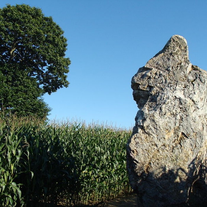 Photo de Pierre Longue de Guitté