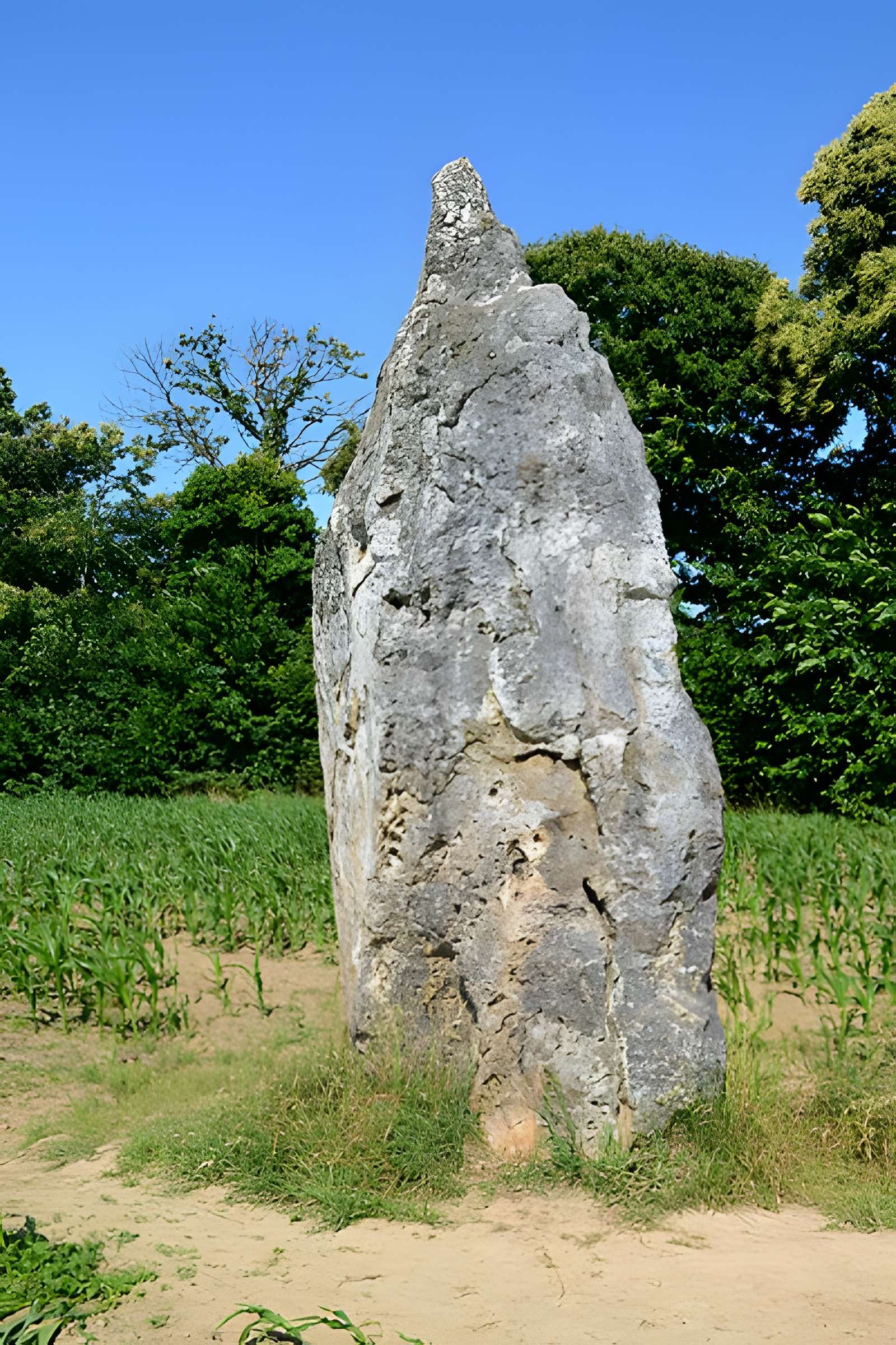 Pierre Longue de Guitté