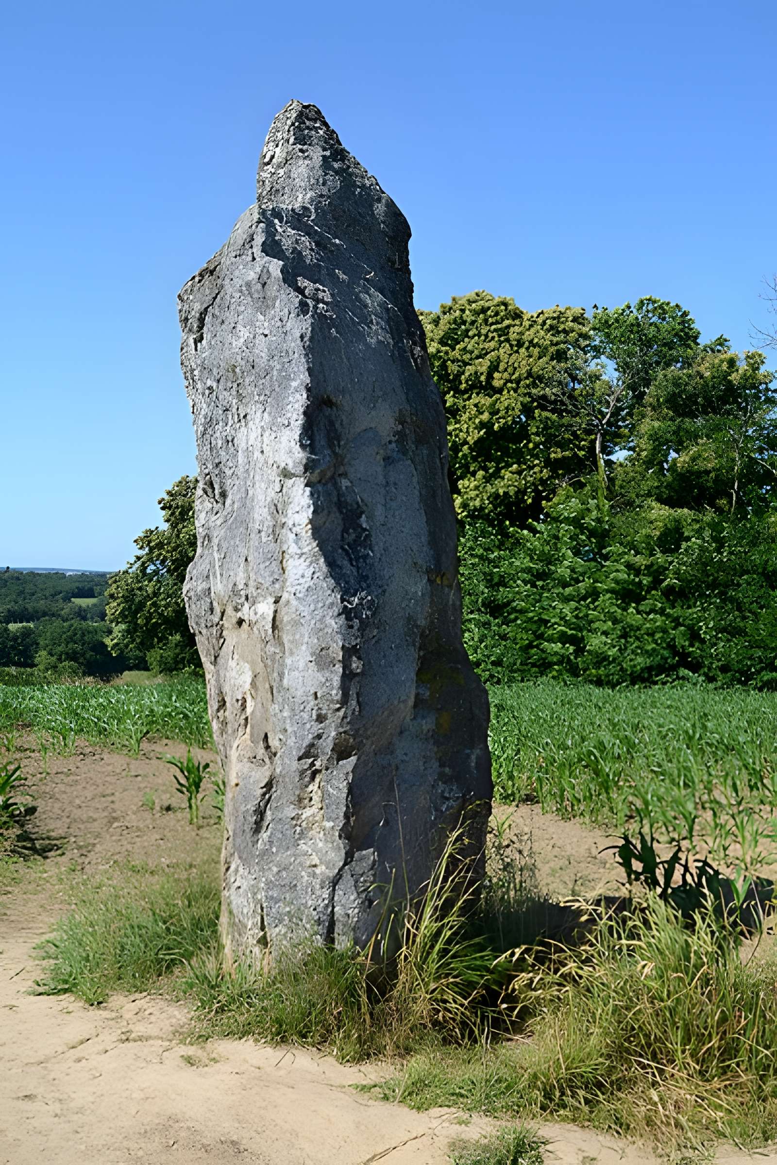 Pierre Longue de Guitté