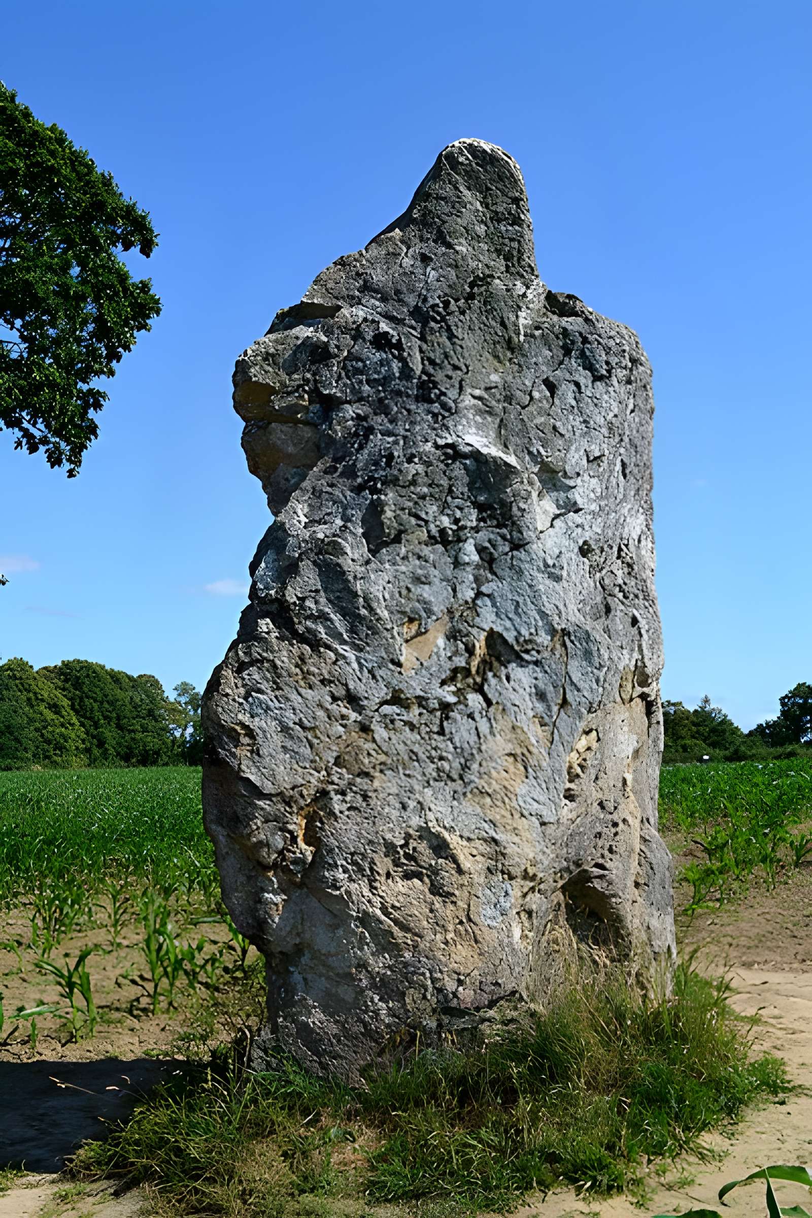 Pierre Longue de Guitté