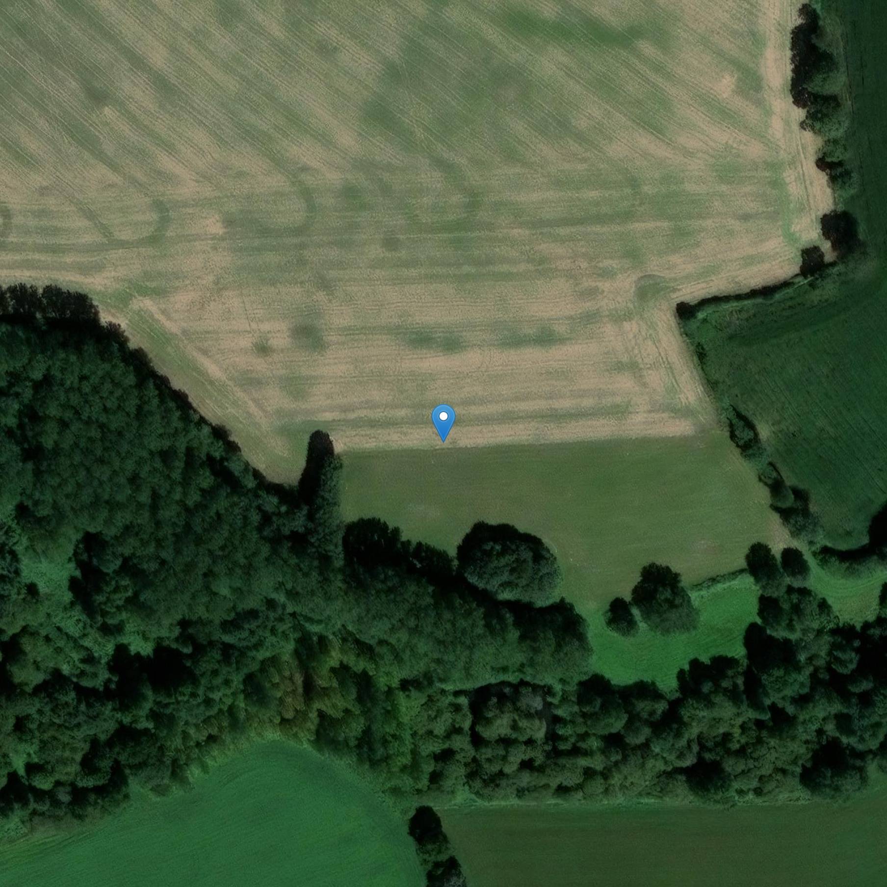 Photo de Pierre longue de Lèverie de Saint-Thomas-de-Courceriers