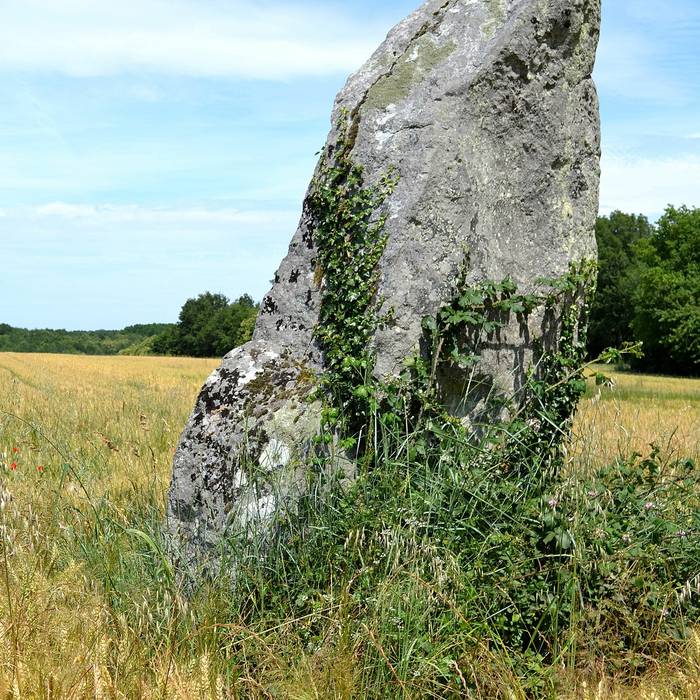 Photo de Pierre Longue du Bouchet de Gennes
