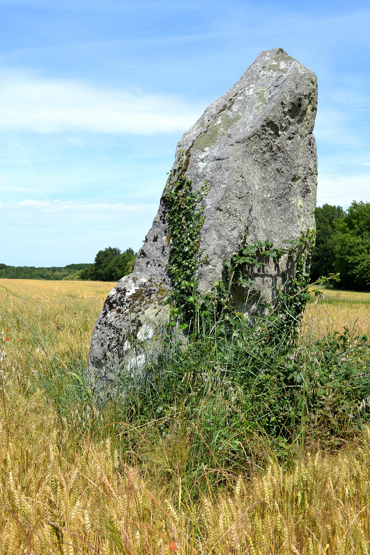 Pierre Longue du Bouchet de Gennes
