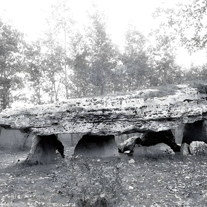 Photo de Pierre Pèse de Limalonges