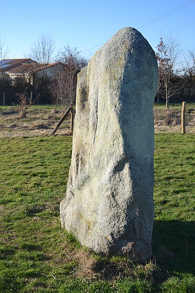 Pierre Plate de Cholet