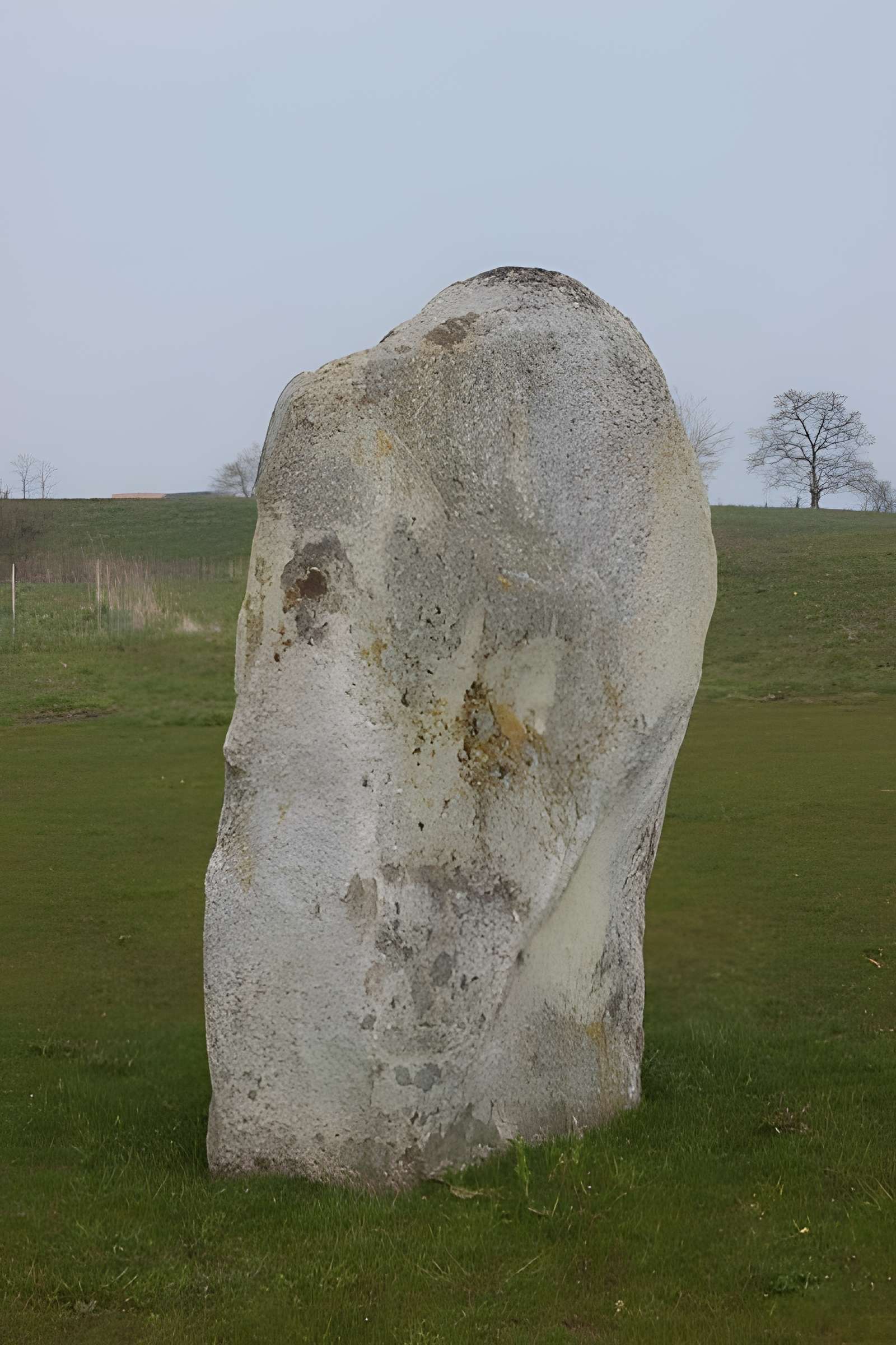 Pierre Plate de Cholet 