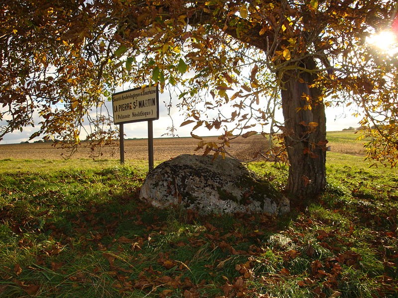 Photo de Pierre Saint-Martin de Luzillé