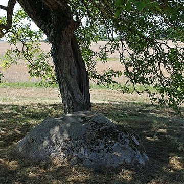 Polissoir fixe dit La Pierre Saint-Martin