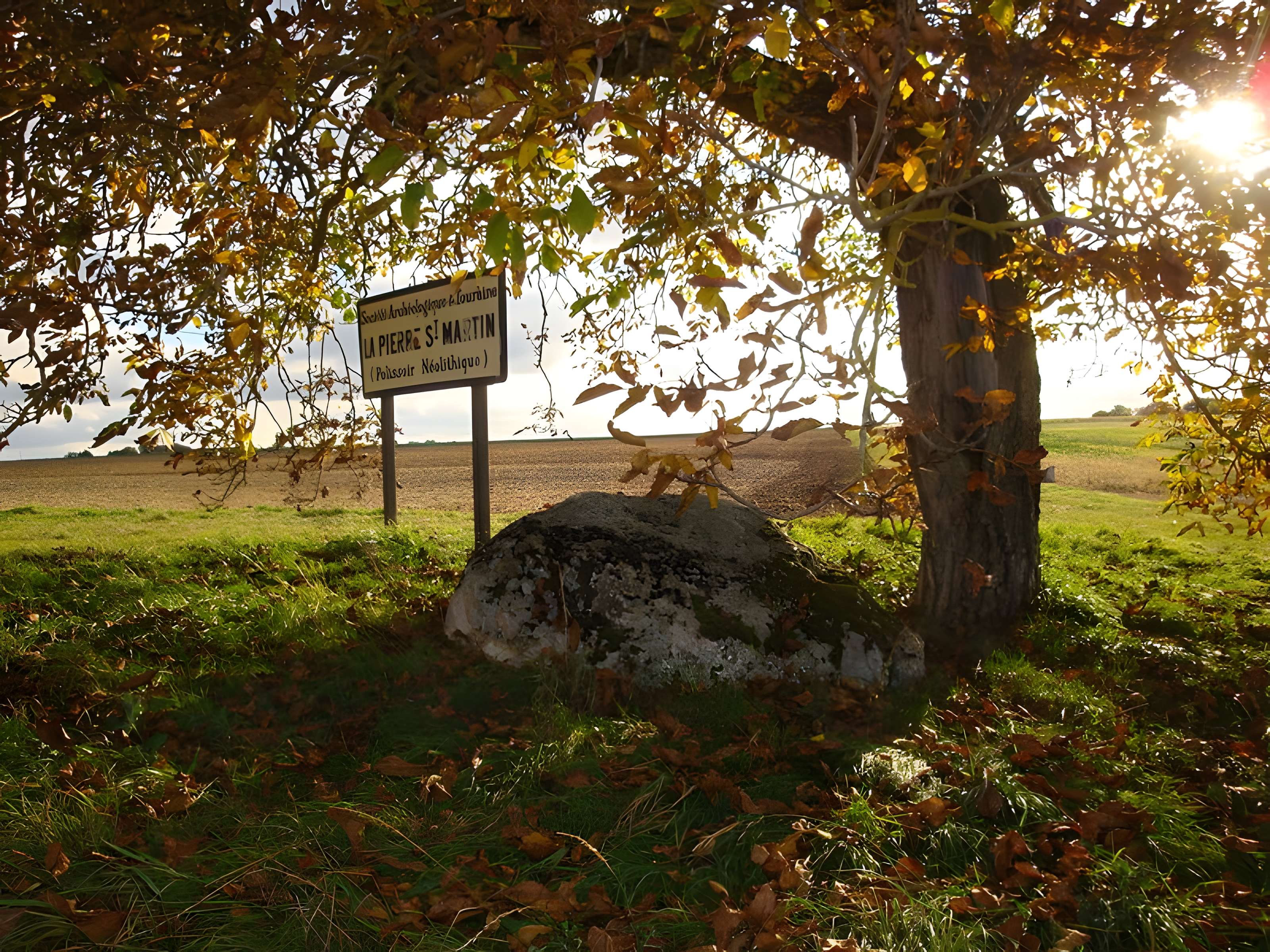 Pierre Saint-Martin de Luzillé 