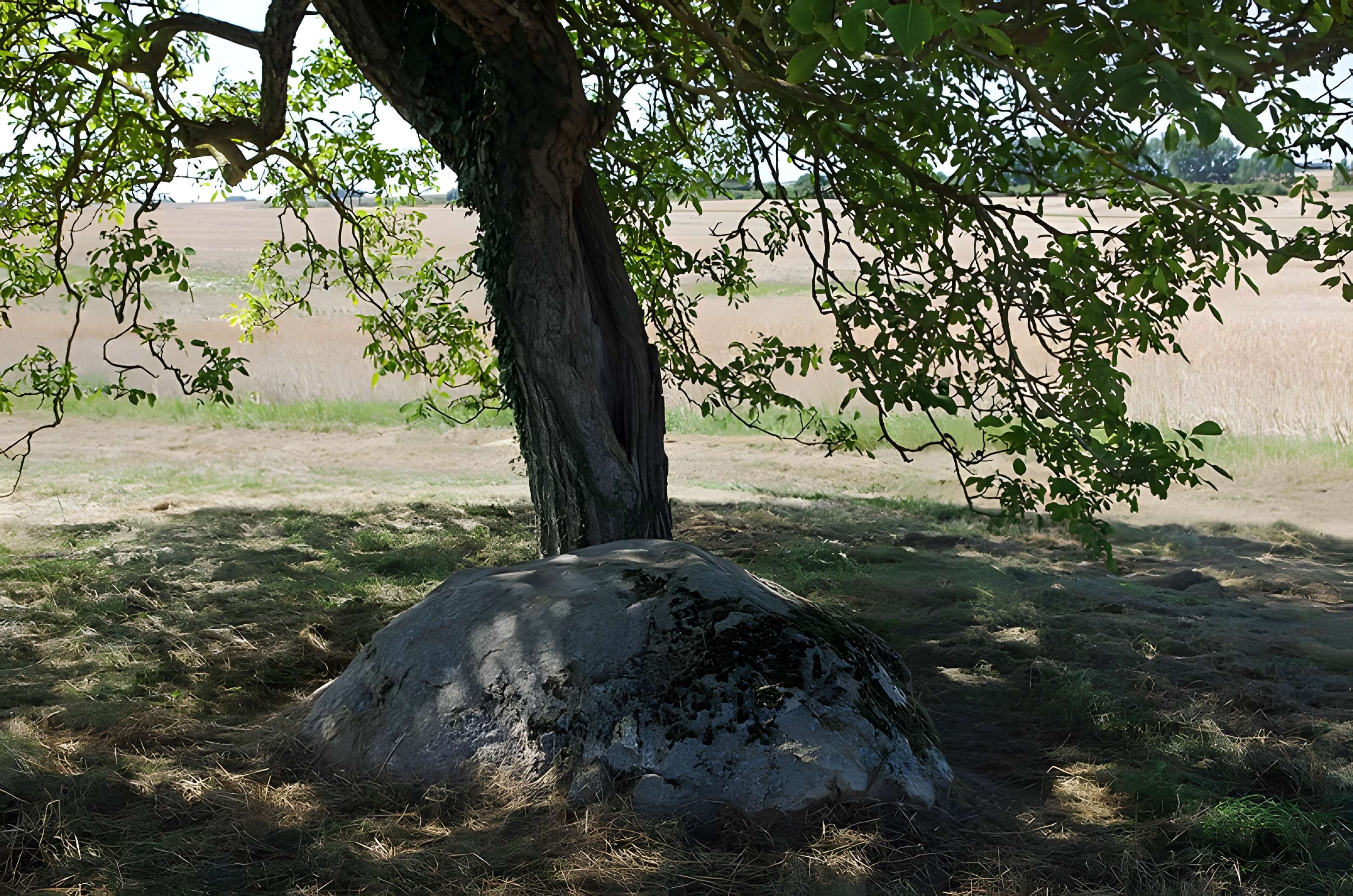 Polissoir fixe dit La Pierre Saint-Martin
