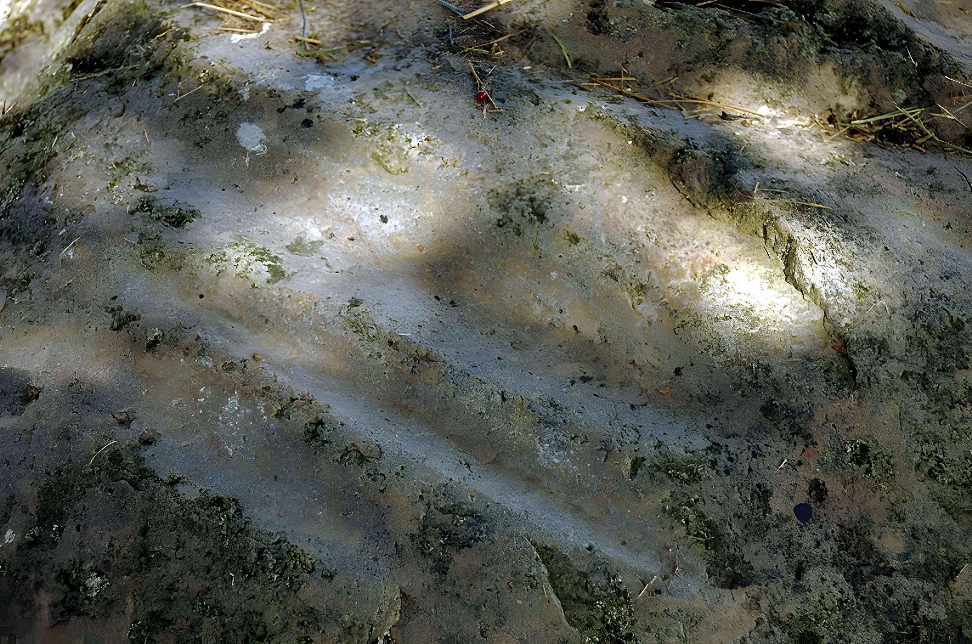 Polissoir fixe dit La Pierre Saint-Martin