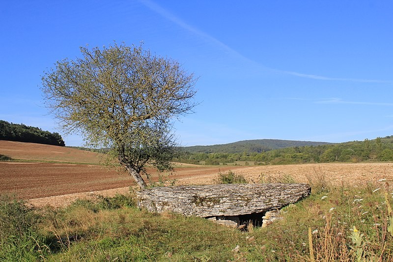 Photo de Dolmen dit La Pierre-Brûlée à Volnay