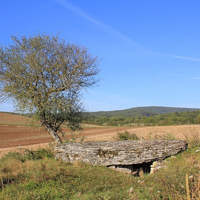 Photo de Dolmen dit La Pierre-Brûlée à Volnay