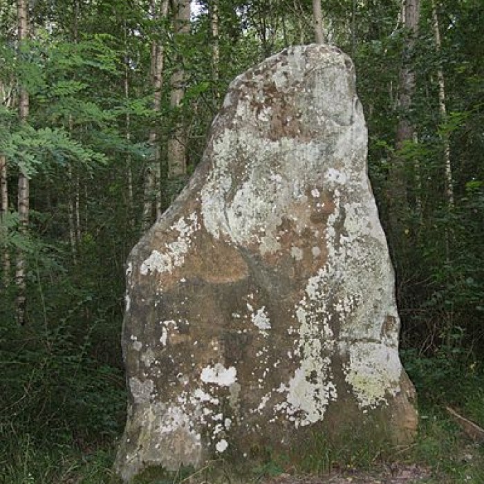 Photo de Menhir dit la Pierre-Fitte ou Pignon de Sainte-Aubierge