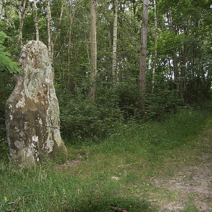 Photo de Menhir dit la Pierre-Fitte ou Pignon de Sainte-Aubierge