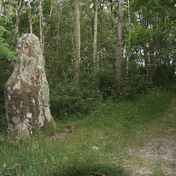 Menhir dit la Pierre-Fitte ou Pignon de Sainte-Aubierge