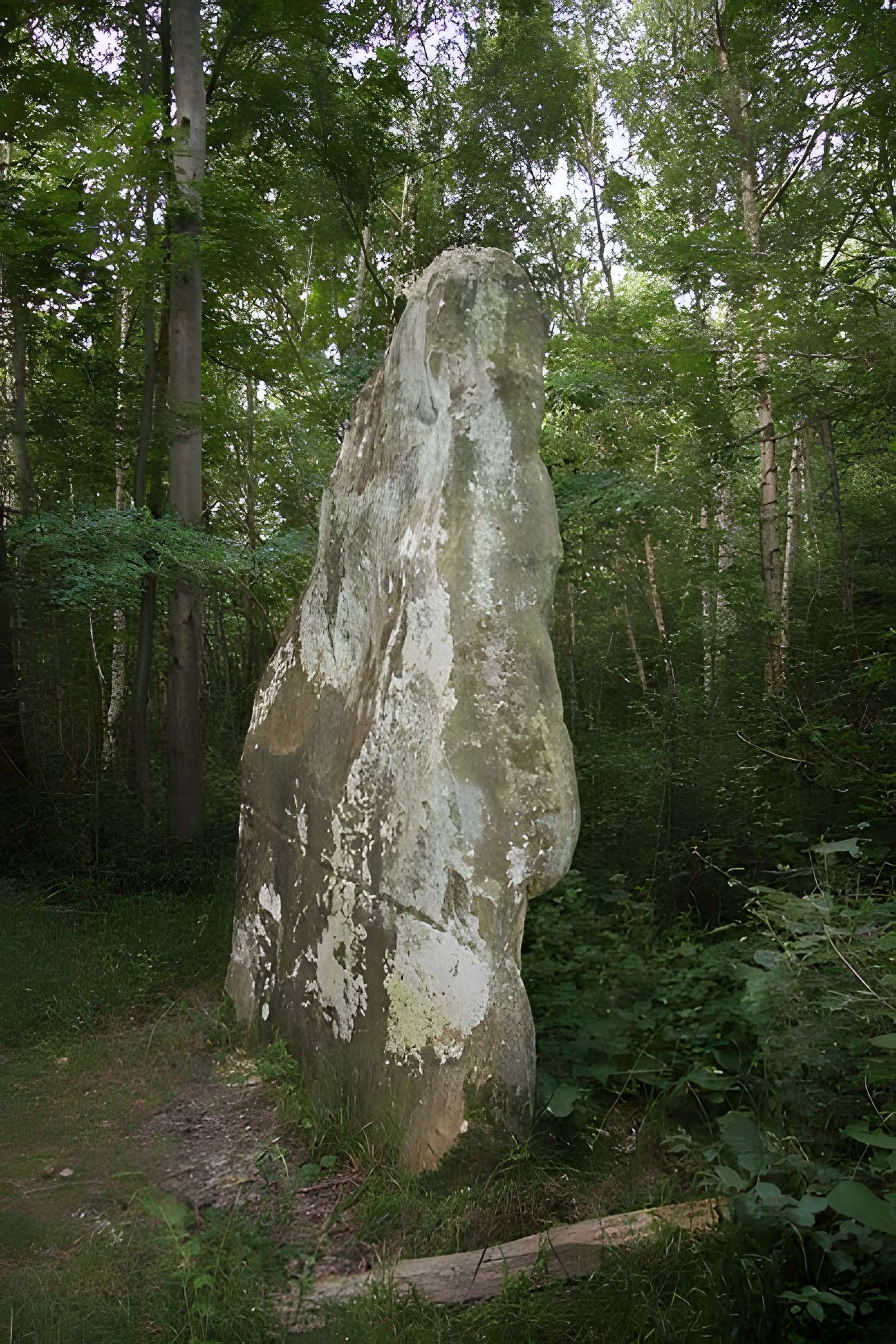 Menhir dit la Pierre-Fitte ou Pignon de Sainte-Aubierge