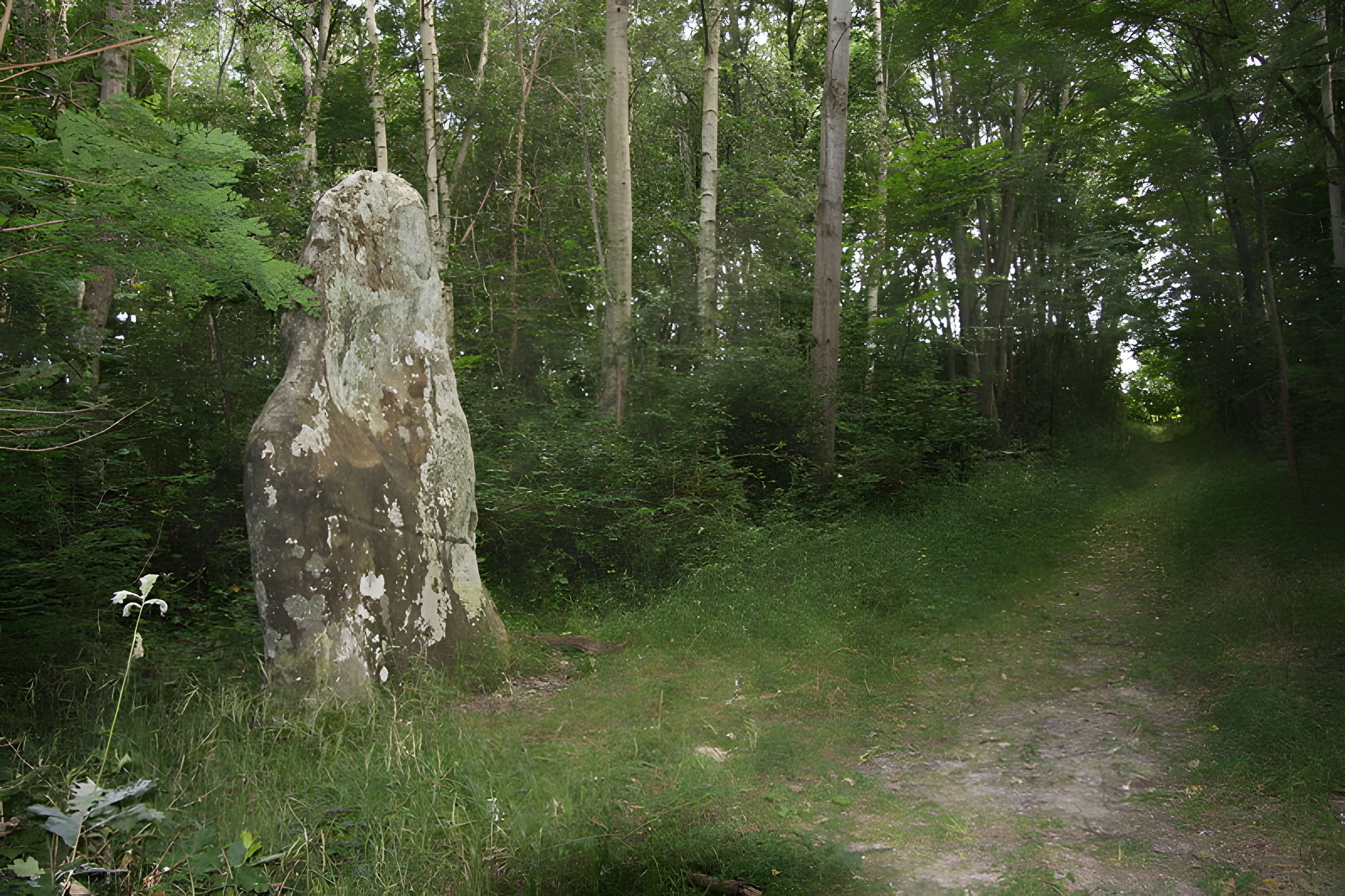 Menhir dit la Pierre-Fitte ou Pignon de Sainte-Aubierge