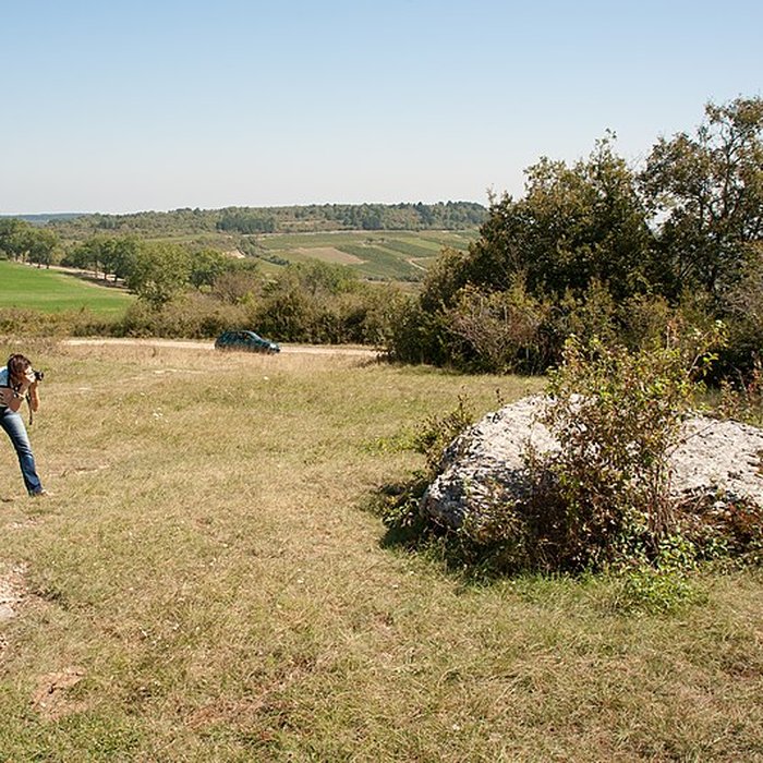 Photo de Dolmen La Pierre qui vire à La Rochepot