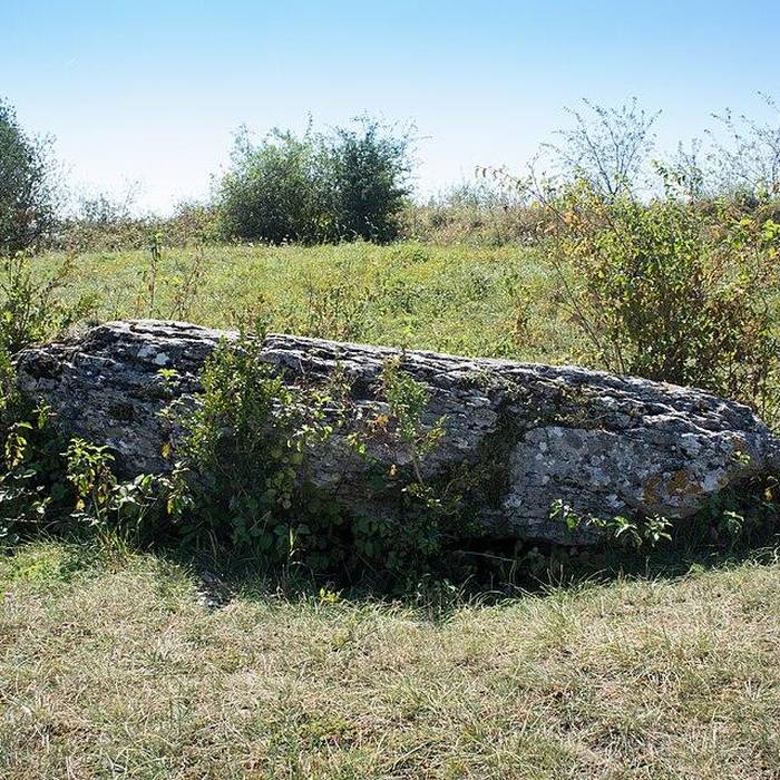 Photo de Dolmen La Pierre qui vire à La Rochepot