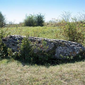 Dolmen La Pierre qui vire à La Rochepot