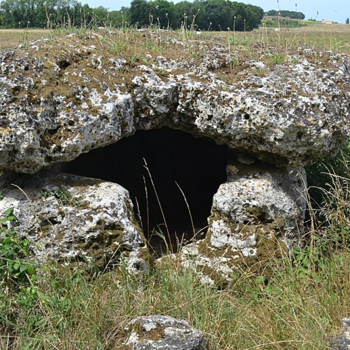 Photo de Pierres Closes de Charras de Saint-Laurent-de-la-Prée