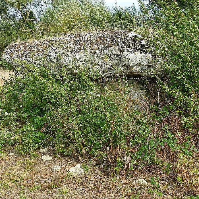 Photo de Pierres Closes de Charras de Saint-Laurent-de-la-Prée