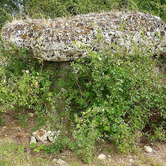 Photo de Pierres Closes de Charras de Saint-Laurent-de-la-Prée