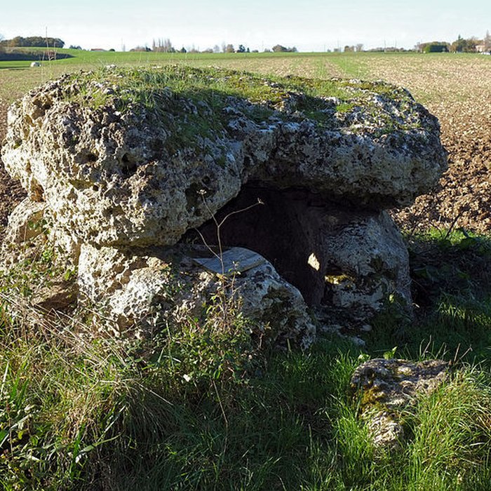 Photo de Pierres Closes de Charras de Saint-Laurent-de-la-Prée