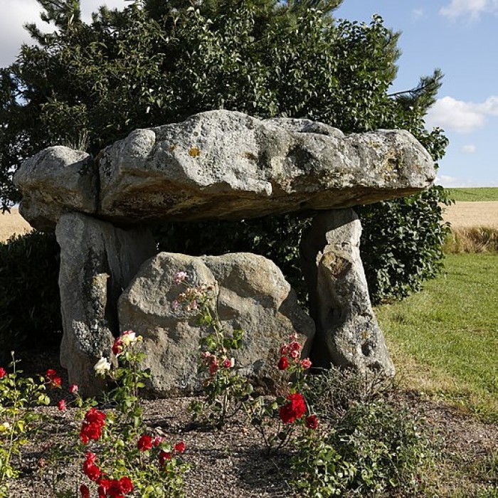 Photo de Pierres de Sainte-Geneviève de Fontaine-Denis-Nuisy