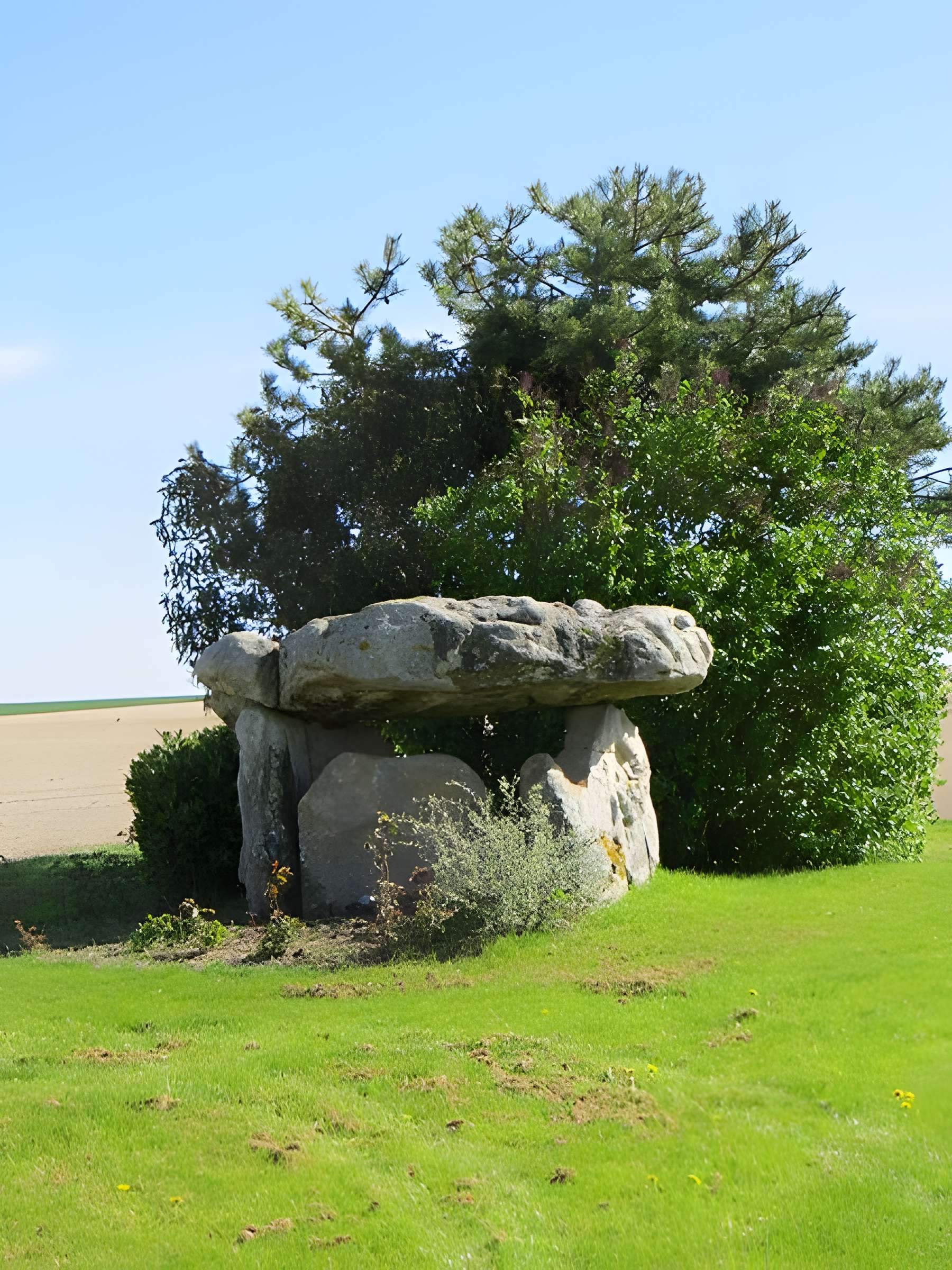 Pierres de Sainte-Geneviève de Fontaine-Denis-Nuisy