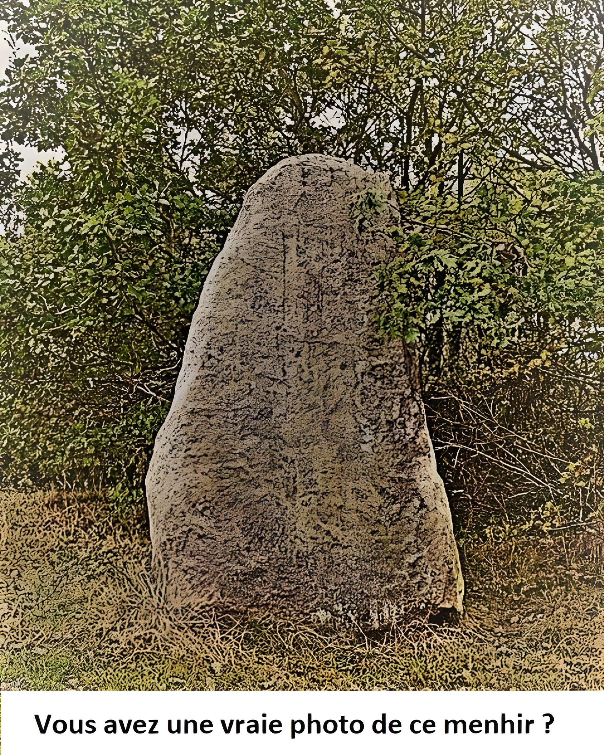Pierres du Four gaulois de Marcilly-le-Hayer 