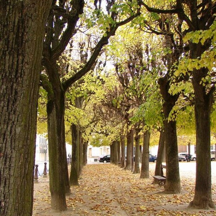 Photo de Place dAlliance de Nancy