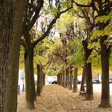 Place dAlliance de Nancy 
