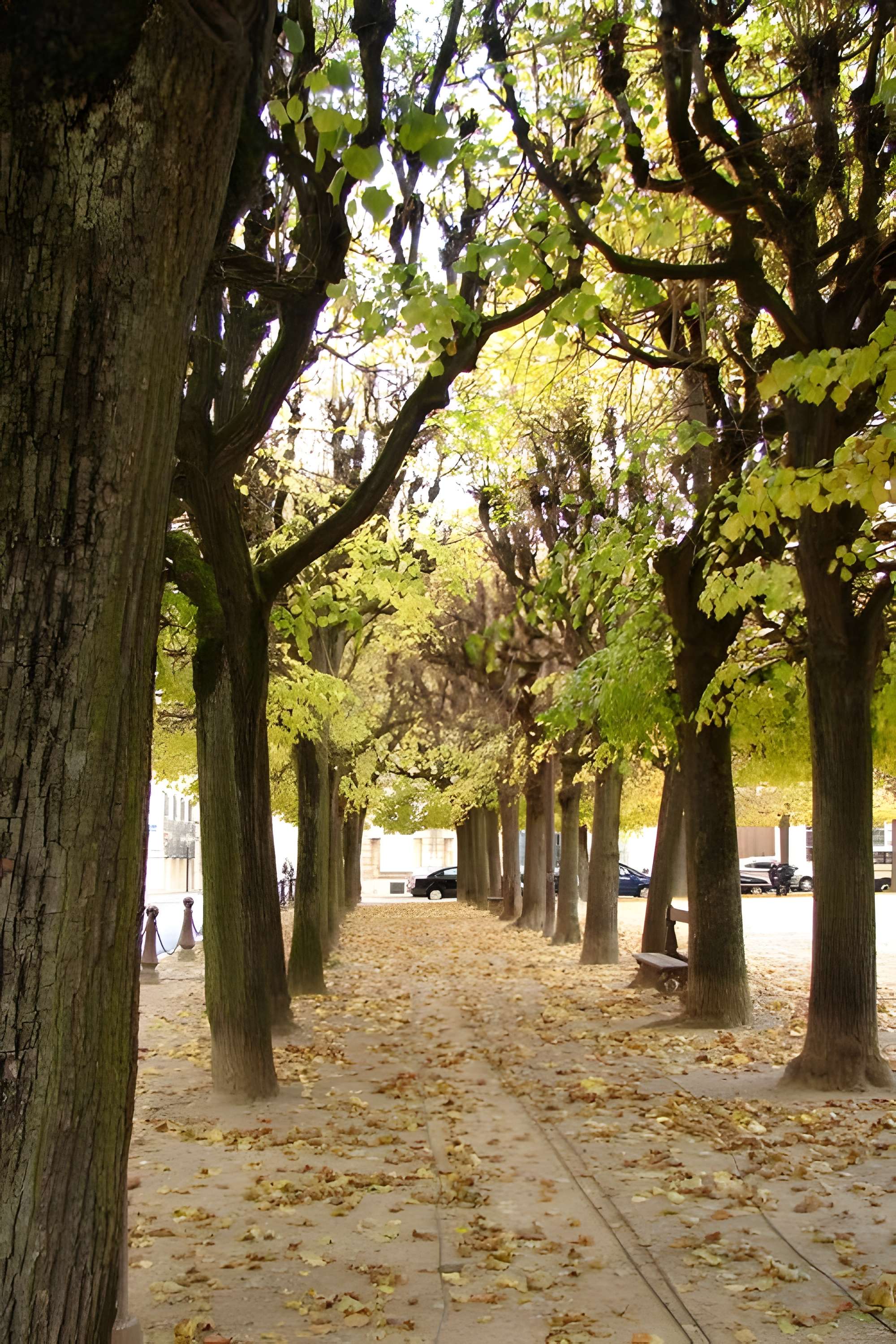 Place d'Alliance de Nancy 