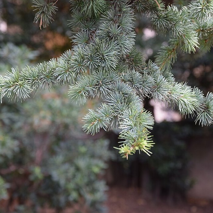 Photo de Plateau des poètes de Béziers