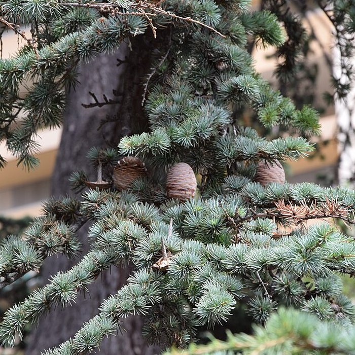 Photo de Plateau des poètes de Béziers