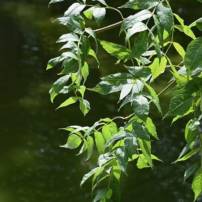 Photo de Plateau des poètes de Béziers