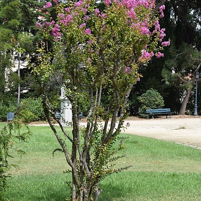 Photo de Plateau des poètes de Béziers