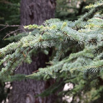 Plateau des poètes de Béziers