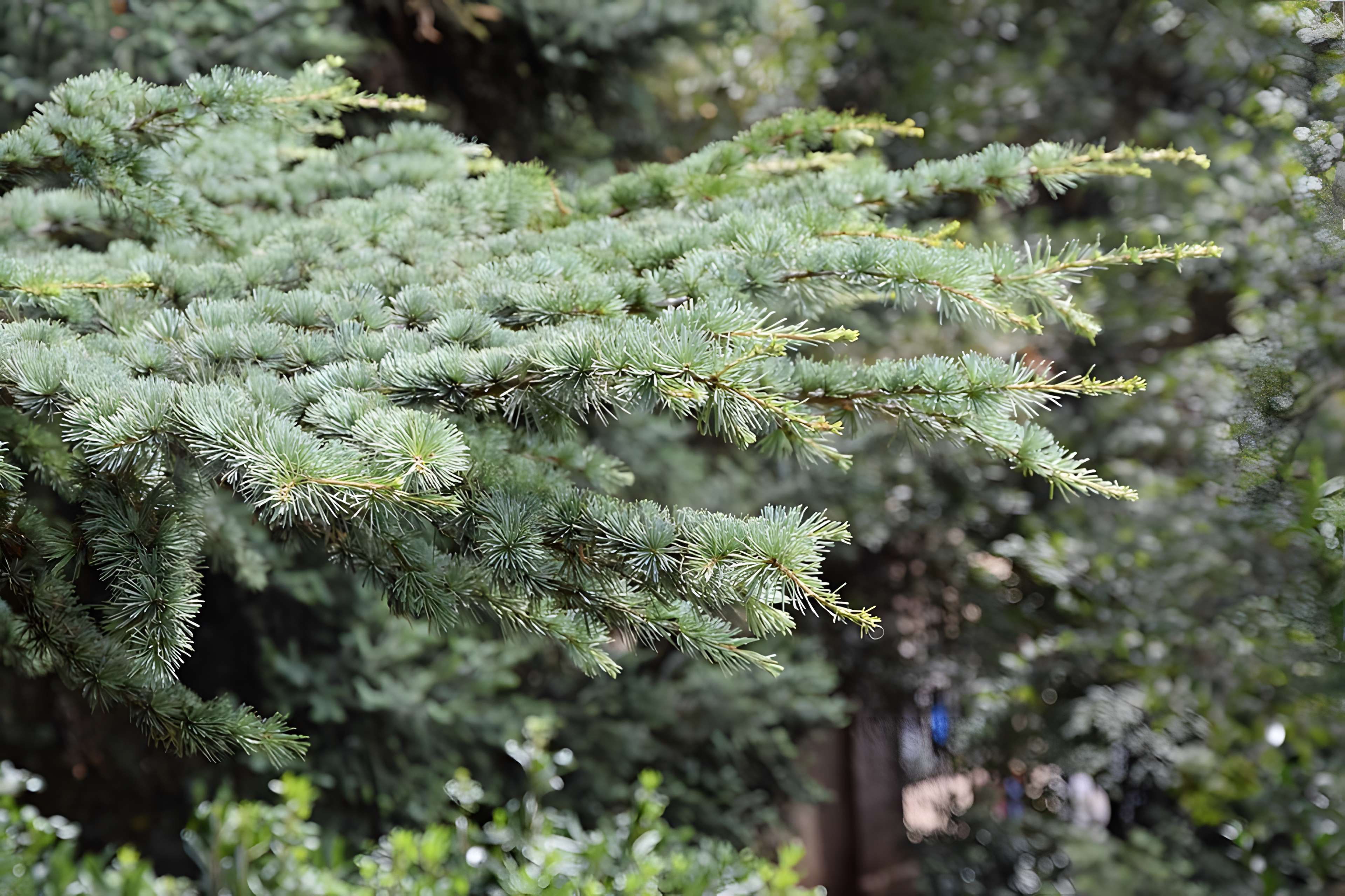 Plateau des poètes de Béziers